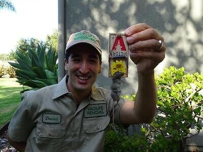Huntsville pest control